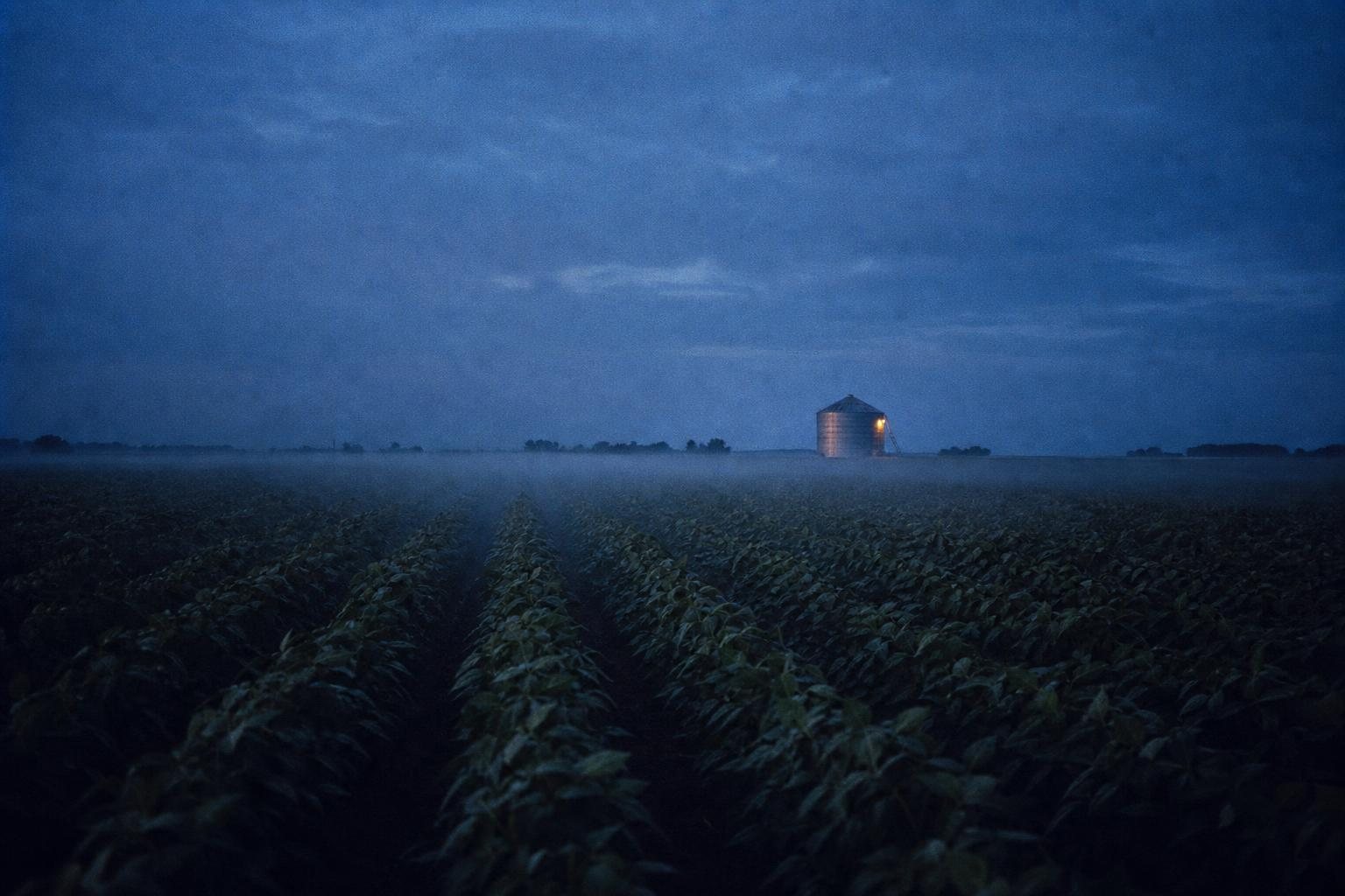 Lavoura de soja antes do amanhecer, névoa baixa entre as linhas e um silo ao longe
